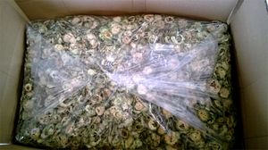 Melón amargo seco natural de envío rápido de alta calidad de Vietnam con buen ángulo de precio - Product Image 4