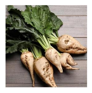 Remolacha azucarera fresca de alta calidad dulce para alimentos y productos agrícolas de alimentación animal - Product Image 2