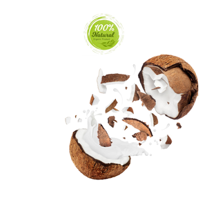 Noix de coco séchée pour les plats de curcuma améliorant la saveur dans les produits agricoles - Product Image 1