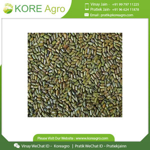 Prix de gros Cassia Tora Graines de Cassia naturelles Séchées Semen Cassia Graines de Cassia Thé aux herbes - Product Image 3