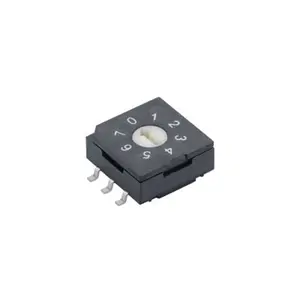 R9 Series - Rotary Coded (Dip) Switch