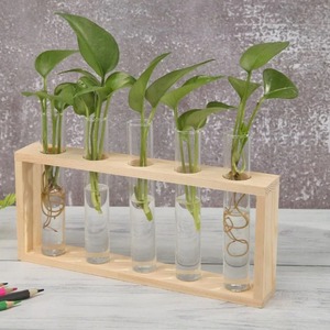 Tubes à essai en verre borosilicate autoclavables pour la culture des tissus avec résistance à la chaleur - Product Image 1