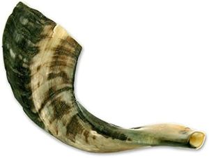 Exquisito cuerno de carnero tradicional hecho a mano para rituales judíos Cuernos de shofar pulidos DE LA India a precios competitivos - Product Image 2