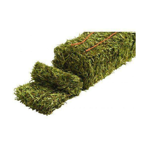 Tendance Vente en gros Nouveau foin de luzerne de meilleure qualité Timothy Hay et foin des Bermudes à vendre - Product Image 1