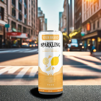 Groothandel op maat gemaakte private label alcoholvrije gearomatiseerde NFC tropische fruitcocktail sprankelende vitamine-energie fruit- en groentenmix