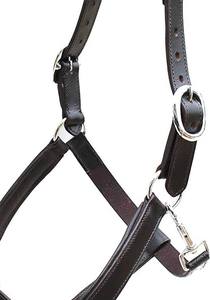 Brown Designer Six Fancy Rembourré Halter-Laiton Nickel Quincaillerie Réglable Cheval Halter Fabriqué en Inde Avec 100% Cuir Véritable - Product Image 4