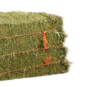 2024 Top vente naturel bétail luzerne foin ensilage aliments pour animaux pour poisson chien cheval chèvre cochon prix de gros pas cher - Product Image 3