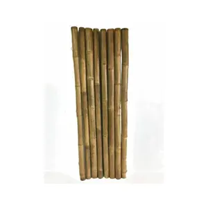 Fornitura di bambù naturale palo/bambù grezzo dal Vietnam/ In Stock di bambù Pole Tube grande quantità