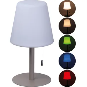 Lampe d'extérieur Carl, ornements de jardin personnalisés, gadgets - Product Image 1
