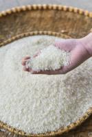 LE CAMEROUN IMPORTE DU RIZ DU VIETNAM | LE RIZ DU CAMEROUN EN AFRIQUE: Riz Japonica, Riz Jasmin, Riz Long Grain | OO84825431311