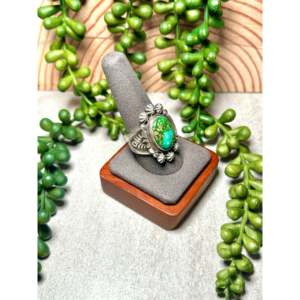 Daniel Benally Sonoran Mountain <b>Ring</b> Size 10 <b>Turquoise</b> & Sterling Silver Bezel Setting Everyday Wear - Product Image 2