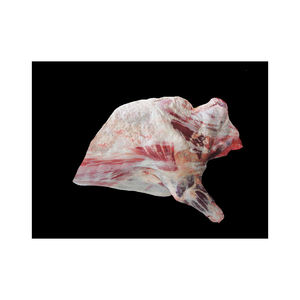 Carne de res alimentada con hierba natural hecha en fábrica, venta al por mayor, carne de res Angus congelada, carne de nudillo, carne HALAL congelada en caliente, cortes de cuarto trasero 90VL 95VL 98V - Product Image 5