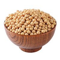 Vente en gros de soja biologique non-OGM, soja jaune, graines de soja