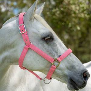 Produits de vente directe d'usine licou en nylon réglable en nylon matériau souple logo personnalisé licous de cheval - Product Image 4