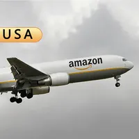 Versand China nach USA Amazon FBA Lager DPP Luftfracht Express