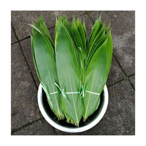 ใบไผ่ย่อยสลายได้จากเวียดนามวัตถุดิบแห้งสำหรับห่อเค้กพร้อมส่งออก - Product Image 3
