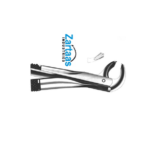 Fórceps de extracción de acero inoxidable de alta calidad molares inferiores derecha Fig 73R exportadores y fabricante - Product Image 2