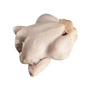 Patas de pollo congeladas/Proveedor premium más vendido Pollo entero congelado/Pies de pollo-Alas a la venta en Dubai