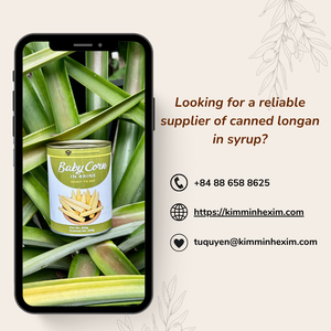 MAÏS BÉBÉ EN CONSERVE DE QUALITÉ SUPÉRIEURE EN SAUMURE DE VIETNAMT OEM Service - Product Image 5