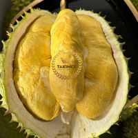 Snelle Levering Bevroren Durian Gemaakt In Vietnam Goede Kwaliteit Super Vers Bevroren Durian Nieuw Seizoen