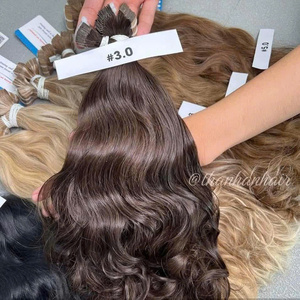 Extensions de cheveux humains vietnamiens alignés sur les cuticules, naturellement ondulés, à fixer avec des bandes adhésives, multicolores - Product Image 6