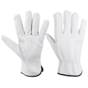 Good Material Affordable Price New Fashion Top Selling Personalized logo Popular Design <b>Driver</b> <b>Gloves</b> - Product Image 1