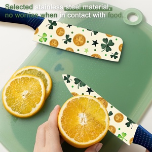 Vente flash Couteau Gyuto professionnel en céramique de qualité supérieure avec lame en céramique et manche en plastique, idéal pour la préparation de sushis et de la cuisine asiatique, compatible lave-vaisselle, fabriqué en usine - Product Image 6