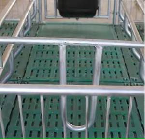 ¡Gran venta! Nueva condición galvanizado doble tamaño cerdo pluma 2,2*3,6 m Cerda puesto de parto 1 año de garantía equipo de cría de animales - Product Image 3