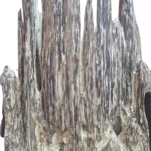 Madera de agar de alta calidad: Una fragancia que vale la pena explorar - Product Image 1