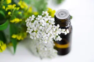 100% Yarrow Oil India Oil Venta al por mayor Bulk Yarrow Oil India Oil Natural y Pure Yarrow Oil India Oil - Product Image 3
