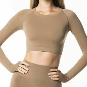 51% Polyamide 38% Polyester 11% Elasthanne Crew Neck Raglan Cut Womens Chai Cropped Seamless Long Sleeves Shirt - Product Image 6