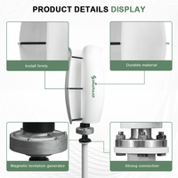 Petite taille et haute efficacité énergétique éolienne à axe vertical en forme de fleur 1000W 12V/24V