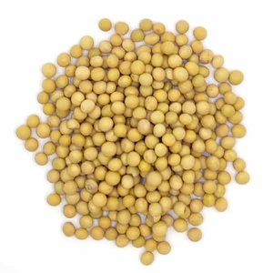 Soja - Product Image 3
