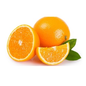 Naranjas Navel Frescas Premium - Cítricos Dulces y Jugosos - Exportador Mayorista de Naranjas - Product Image 5