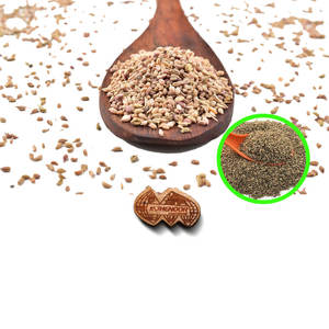 Carom (ajwain) | สะอาดและบริสุทธิ์ | สมุนไพรที่มีประสิทธิภาพสูง - Product Image 5