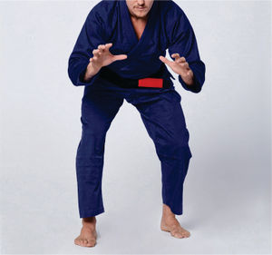 Fait sur mesure Jiu-Jitsu brésilien Gi nouveau style uniforme de karaté pour adultes ODM qualité étirement caractéristique pour Jiu Jitsu Taekwondo - Product Image 5