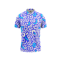 Ropa Deportiva Personalizable para Golf, Tenis y Pickleball, Uniformes de Equipo OEM ODM, Polos, Camisetas sin Mangas, Transpirables, de Spandex/Poliéster