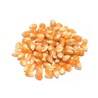Grains de maïs glutineux séchés AD Butterfly Yellow, sans OGM, du Brésil, riches en protéines, sains, purs et naturels, durée de conservation de 2 ans