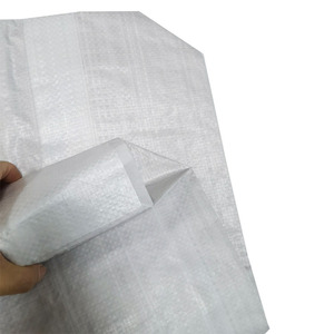 Pp Valve <b>Bag</b> Paper Plastic Valve <b>Bag</b> Packaging for Cement Chemical - Product Image 4