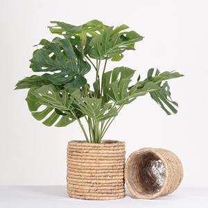 Panier décoratif en jacinthe d'eau pour plantes, pot pour plantes, support et présentoir, pot tissé à la main - Product Image 3