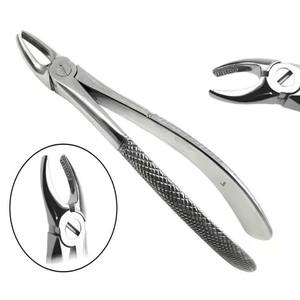 Fórceps Dentales para Extracción de Incisivos Inferiores, Instrumentos Quirúrgicos para Extracción de Raíces Dentales, Manual, de Acero Inoxidable, Reutilizable, de Alto Grado - Product Image 6