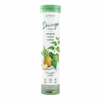 Comprimés effervescents électrolytiques OEM pour adultes à l'ananas et aux feuilles de marron, supplément bien-être pour l'hydratation et le drainage, enrichi en magnésium et calcium