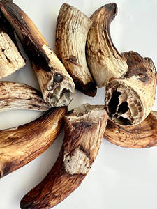 Rani Industries - Comida para Perros Hecha a Mano, Pulida, Personalizada, Cortada a Troquel y Impresa - Product Image 6