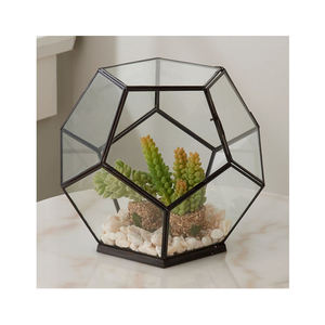 Best Superior Quality Geometric Shape Clear Glass Terrarium Iron <b>Frame</b> Black Finished Customized Size for Garden Planter Decors - Product Image 5