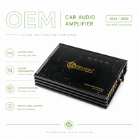 Amplificador DSP para Auto de 4 Canales Clase AB con Crossovers, Disipación de Calor de Aluminio y Modo de Sonido Personalizado OEM