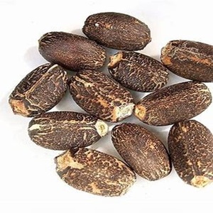 เมล็ดจาปาอบแห้งจากธรรมชาติเกรดดีที่สุดสินค้าการเกษตรพร้อมจำหน่ายทั่วโลก - Product Image 2