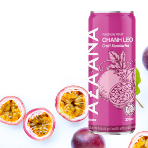 Bebida de té de Kombucha, buena elección, fuentes de fruta de la Pasión, embalaje personalizado natural sin alcohol del fabricante de Vietnam - Product Image 4