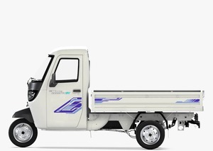 Electric <b>Cargo</b> Tricycle Open Body 200-300kg Payload Capacity 1 Passenger <b>White</b> Color 80km/h 70-90km Range - Product Image 6