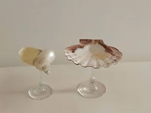 Taza de Concha Marina Económica de Vietnam para Fiestas y Decoración - Product Image 6