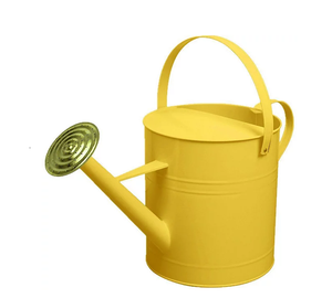 Mango de maceta de flores de riego de metal con calidad exclusiva o decoración Regadera de plantas perfecta para plantas al aire libre - Product Image 2